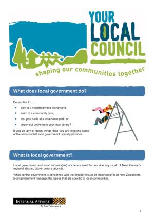 What Is Local Government?