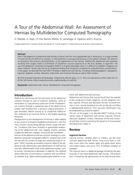 A Tour of the Abdominal Wall: an Assessment of Hernias by Multidetector Computed Tomography