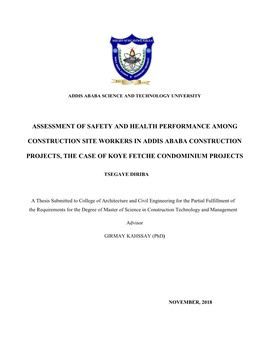 Assessment of Safety and Health Performance Among