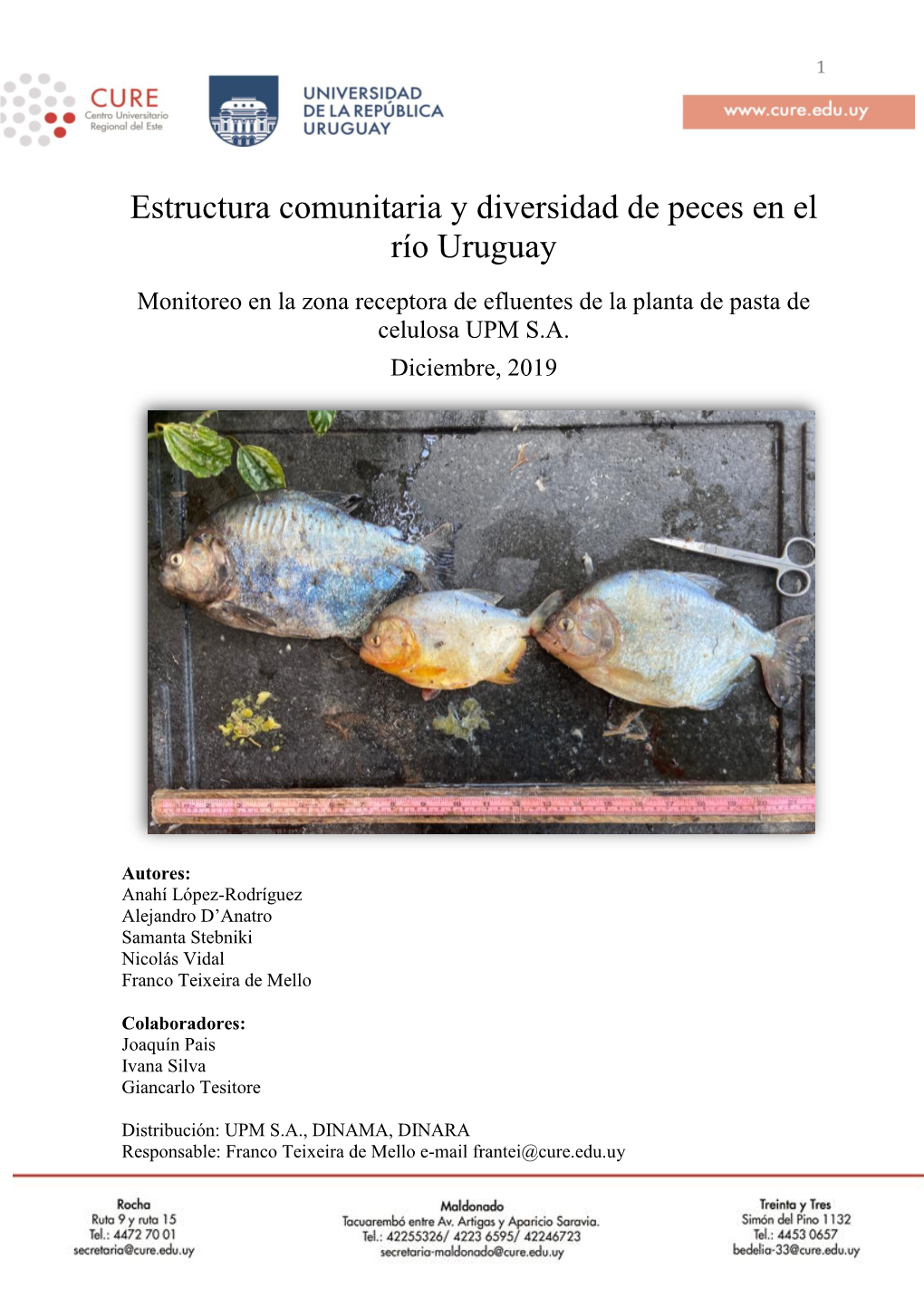 Estructura Comunitaria Y Diversidad De Peces En El Río Uruguay