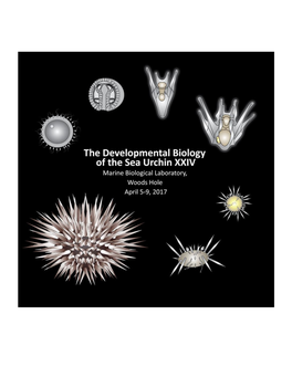 Developmental Biology of the Sea Urchin 2017 Talk