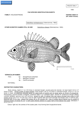 HOLOC Ostic 1 1983 FAO SPECIES IDENTIFICATION SHEETS FAMILY: HOLOCENTRIDAE FISHING AREA 51 (W. Indian Ocean) Ostichthys Archiepi