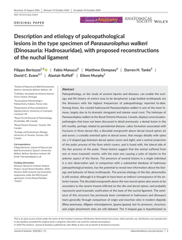Description and Etiology of Paleopathological Lesions