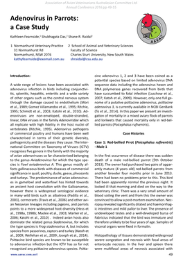 Adenovirus Infection in Parrots