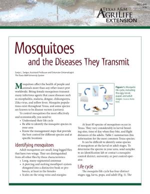 Mosquitoes and the Disease They Transmit