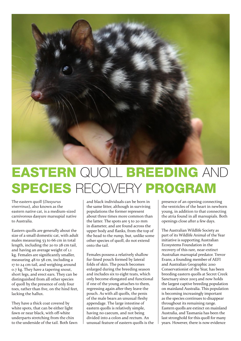 Eastern Quoll Breeding and Species Recovery Program