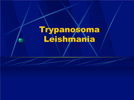 Trypanosoma Leishmania