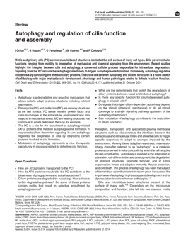 Autophagy and Regulation of Cilia Function and Assembly