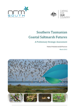 Southern Tasmanian Coastal Saltmarsh Futures a Preliminary Strategic Assessment