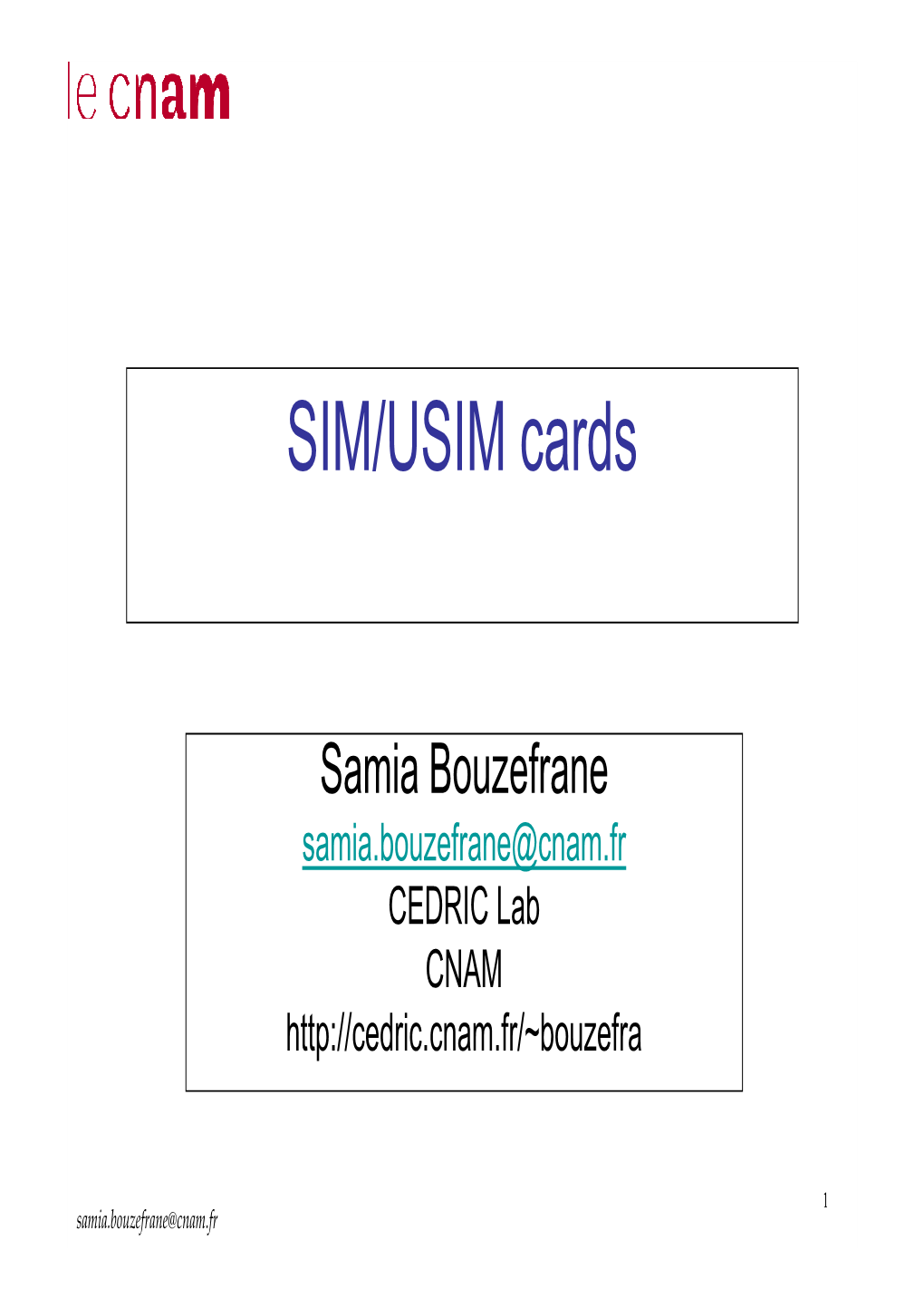 SIM/USIM Cards