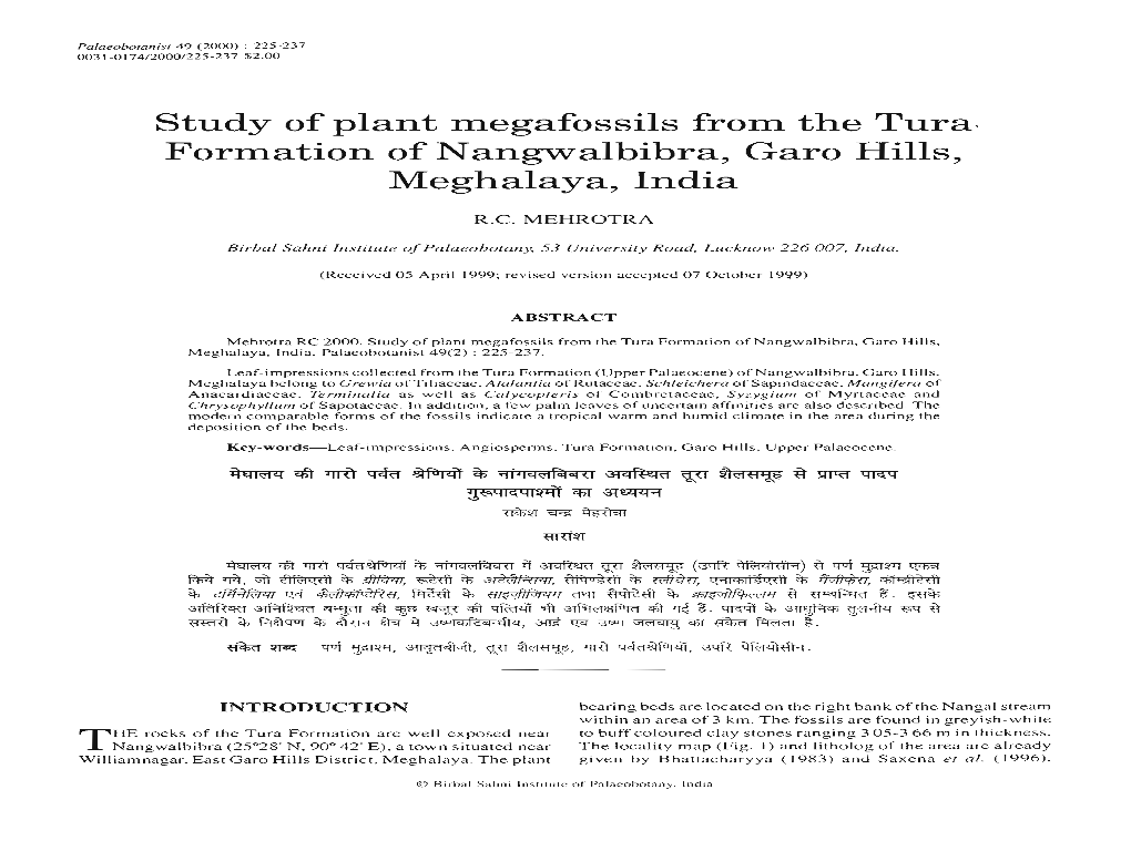 Formation of Nangwalbibra, Garo Hills, Meghalaya, India