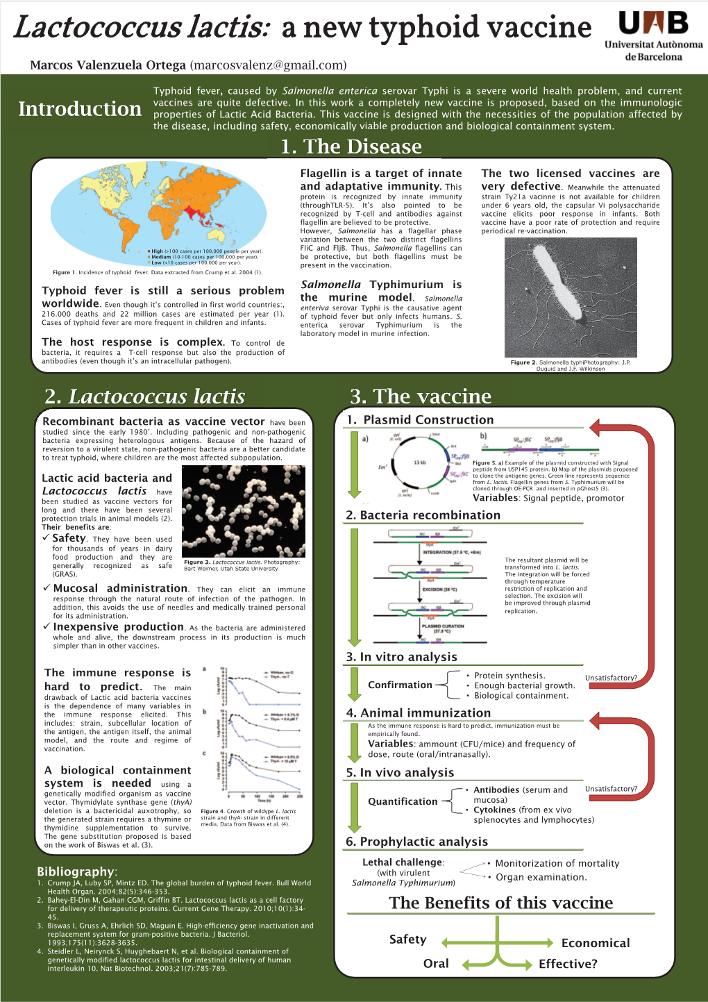 Lactococcus Lactis: a New Typhoid Vaccine