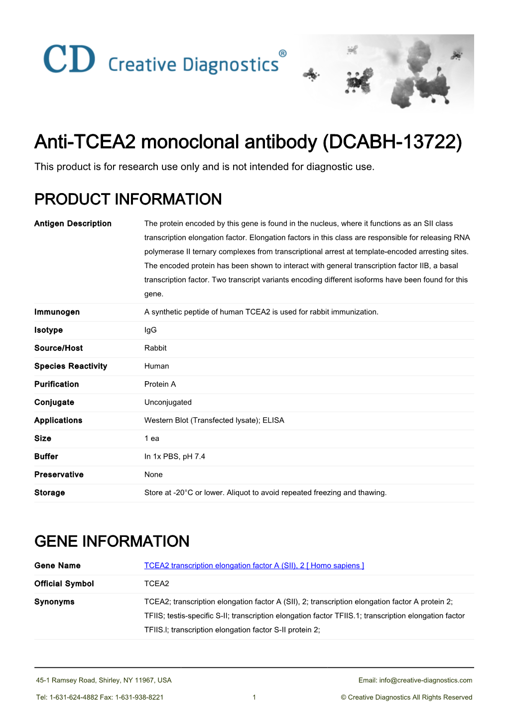 Anti-TCEA2 Monoclonal Antibody (DCABH-13722) This Product Is for Research Use Only and Is Not Intended for Diagnostic Use