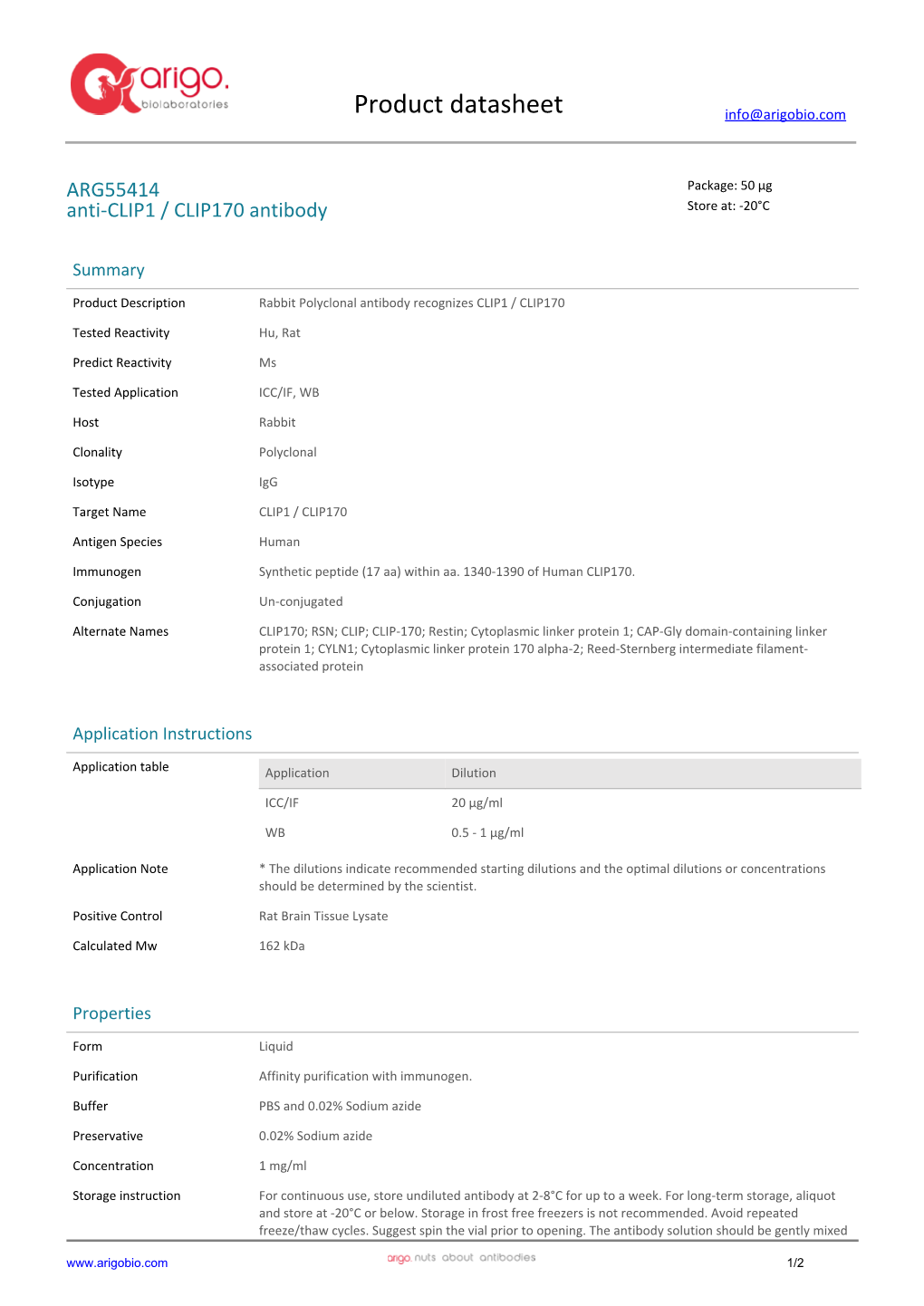 Anti-CLIP1 / CLIP170 Antibody (ARG55414)