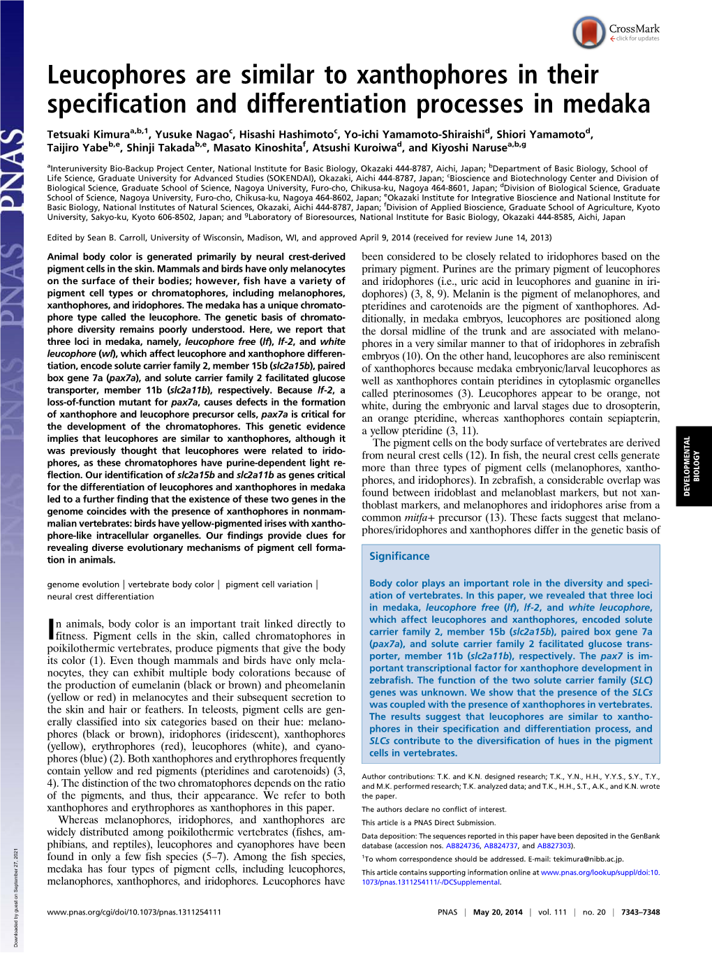 Leucophores Are Similar to Xanthophores in Their Specification and Differentiation Processes in Medaka