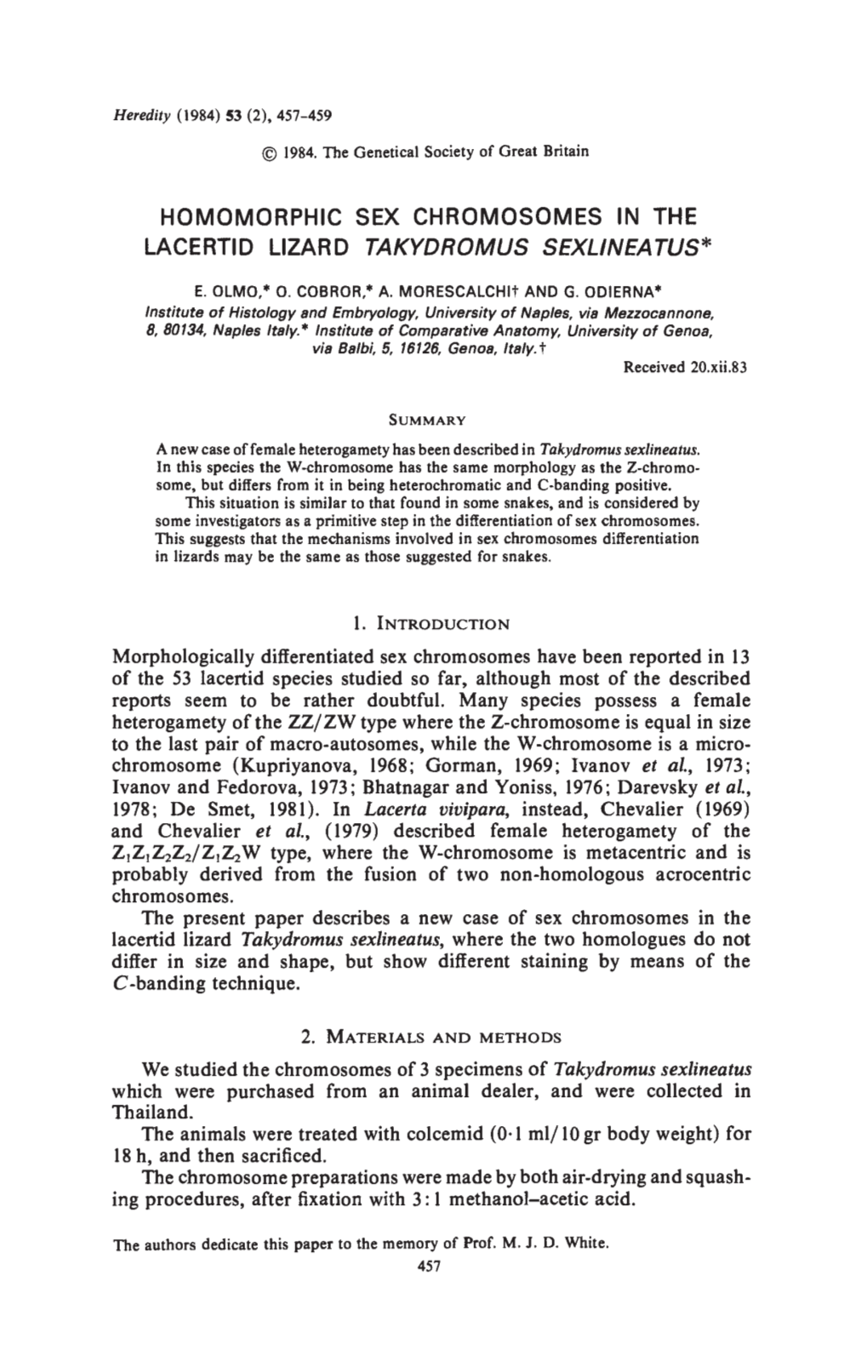 Homomorphic Sex Chromosomes in the Lacertid Lizard Takydromus Sexlineatus*