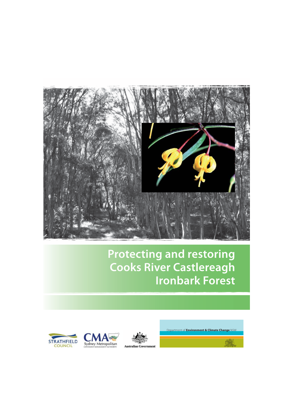 Protecting and Restoring Cooks River Castlereagh Ironbark Forest Contents