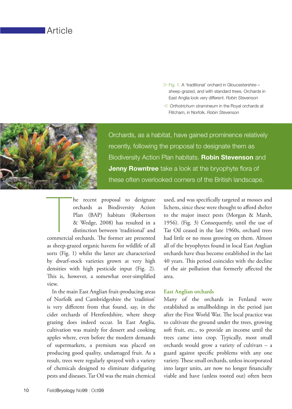 Bryophytes in East Anglian Orchards