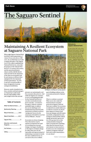 The Saguaro Sentinel Is Published by Saguaro National Park with Assistance from Western National Parks Association (WNPA)