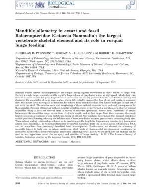 Mandible Allometry in Extant and Fossil Balaenopteridae (Cetacea: Mammalia): the Largest Vertebrate Skeletal Element and Its Role in Rorqual Lunge Feeding