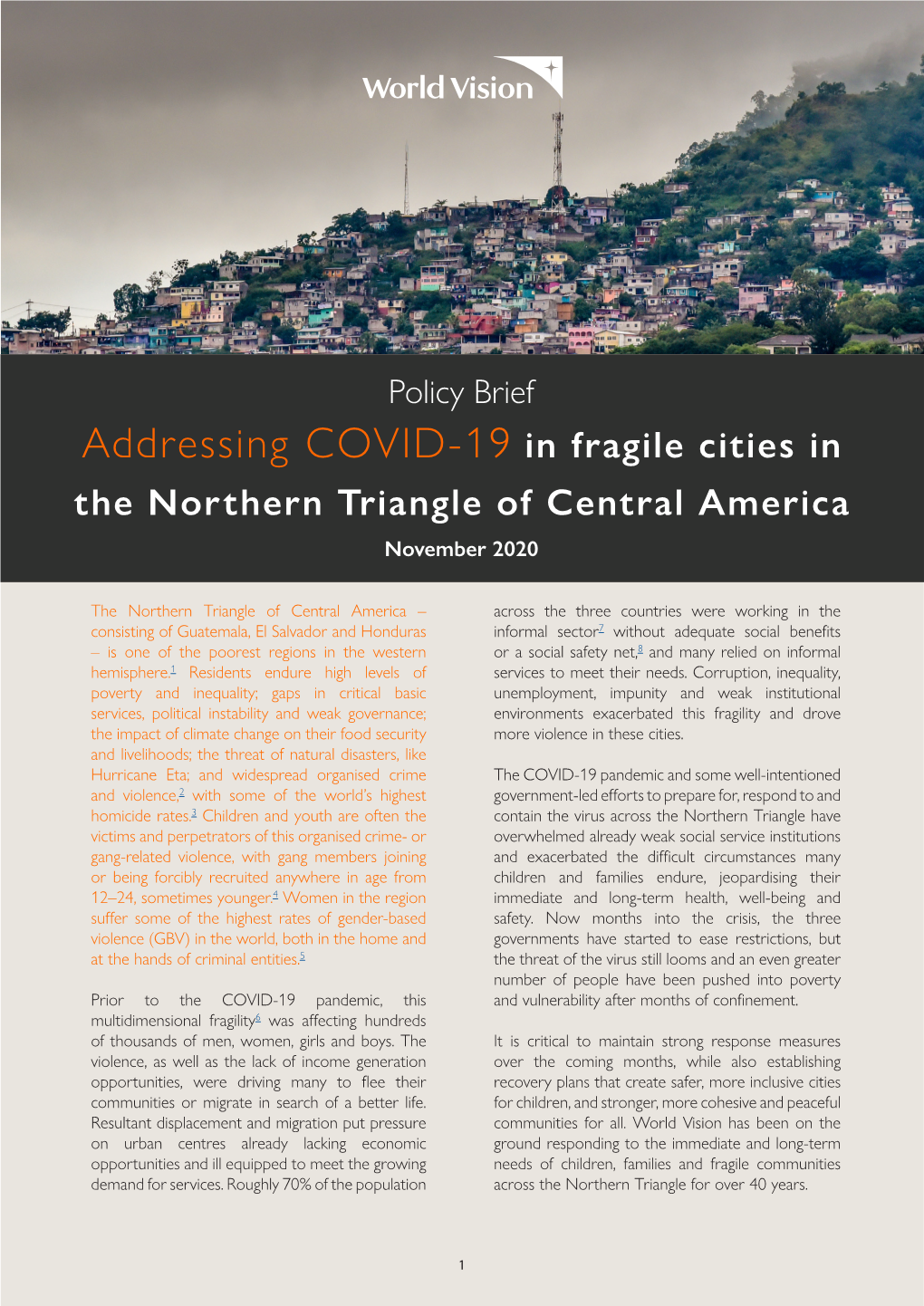 Addressing COVID-19 in Fragile Cities in the Northern Triangle of Central America November 2020