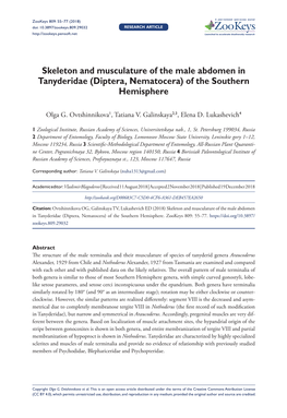 Skeleton and Musculature of the Male Abdomen in Tanyderidae (Diptera, Nematocera) of the Southern Hemisphere