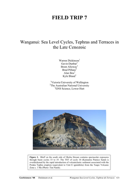 Wanganui: Sea Level Cycles, Tephras and Terraces in the Late Cenozoic