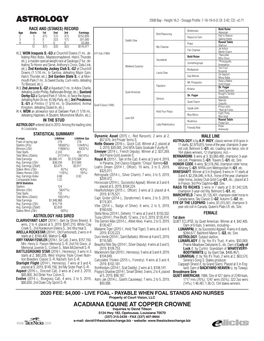 ASTROLOGY 2008 Bay - Height 16.2 - Dosage Profile: 7-16-19-0-0; DI: 3.42; CD: +0.71