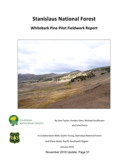 Stanislaus National Forest Whitebark Pine Pilot Fieldwork Report