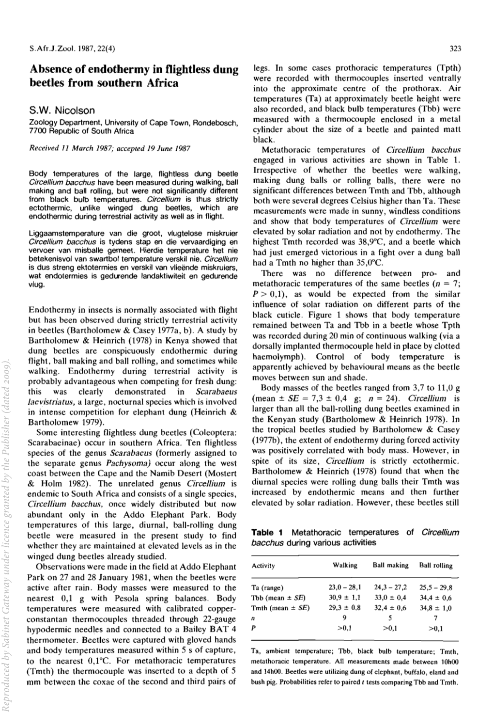 Absence of Endothermy in Flightless Dung Beetles from Southern Africa