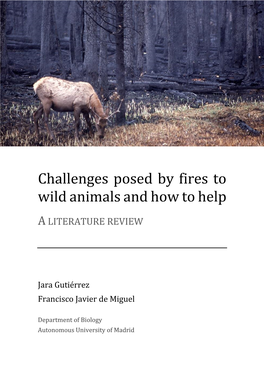 Challenges Posed by Fires to Wild Animals and How to Help