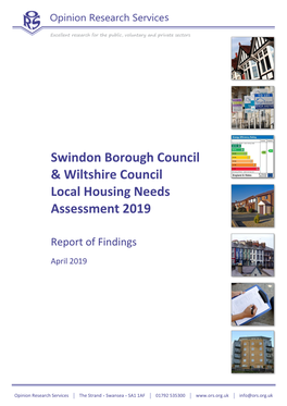 Local Housing Needs Assessment 2019