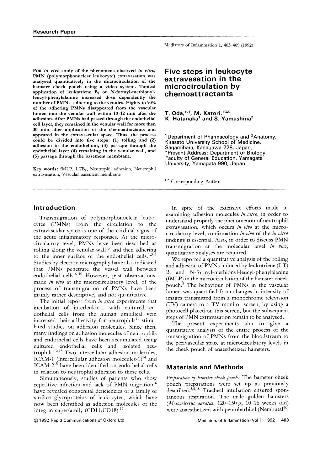 Five Steps in Leukocyte Extravasation in the Rnicrocirculation by Chemoattractants