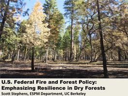 U.S. Federal Fire and Forest Policy: Emphasizing Resilience in Dry