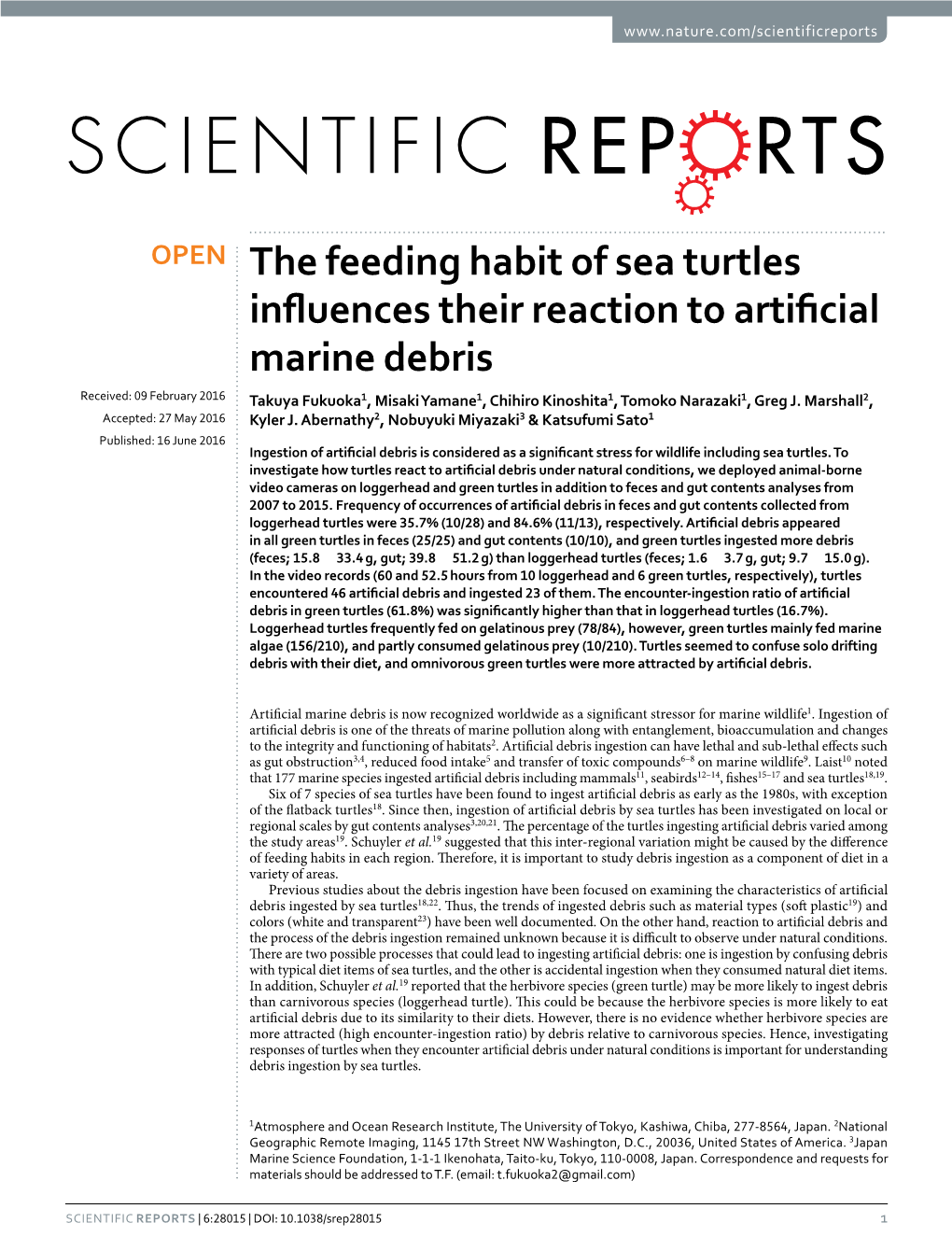 The Feeding Habit of Sea Turtles Influences Their Reaction to Artificial