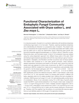 Functional Characterization of Endophytic Fungal Community Associated with Oryza Sativa L. and Zea Mays L