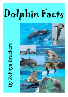 Dolphin Facts-FKB-Ze