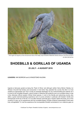 Shoebills & Gorillas of Uganda