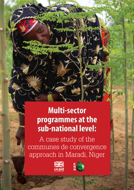 Multi-Sector Programmes at the Sub-National Level: a Case Study of the Communes De Convergence