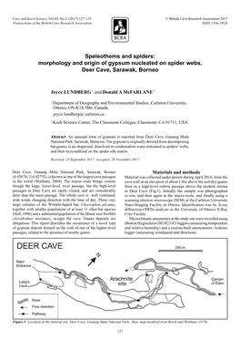 Morphology and Origin of Gypsum Nucleated on Spider Webs, Deer Cave, Sarawak, Borneo
