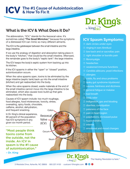 ICV Spasm Symptoms: What Is the ICV & What Does It Do? the #1