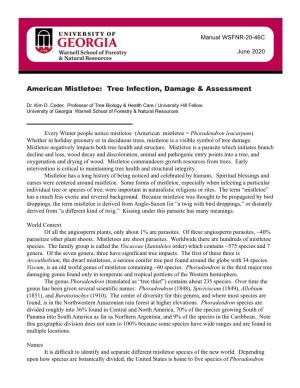 46 American Mistletoe Tree Infection Damage Assessment 2020