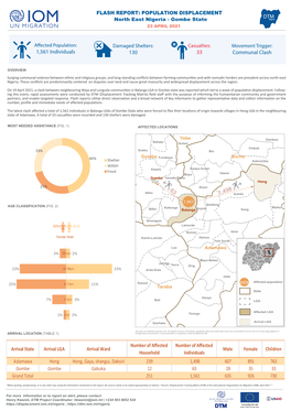 IOM Nigeria DTM Flash Report NE