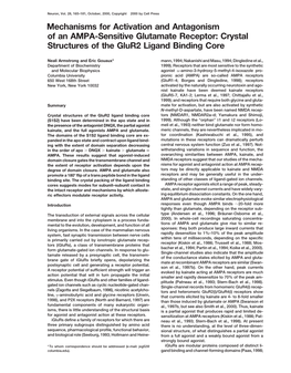 Crystal Structures of the Glur2 Ligand Binding Core