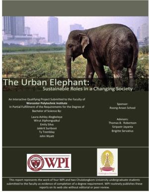 Recommendations for Elephant Conservation Programs
