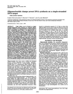 Oligonucleotide Clamps Arrest DNA Synthesis on a Single-Stranded DNA Target (Triplex/Psoralen/Replication) CARINE GIOVANNANGELI*, NGUYEN T
