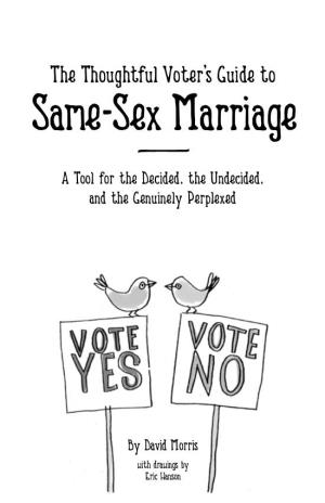 The Thoughtful Voter's Guide to Same-Sex Marriage: a Tool for the Decided, the Undecided