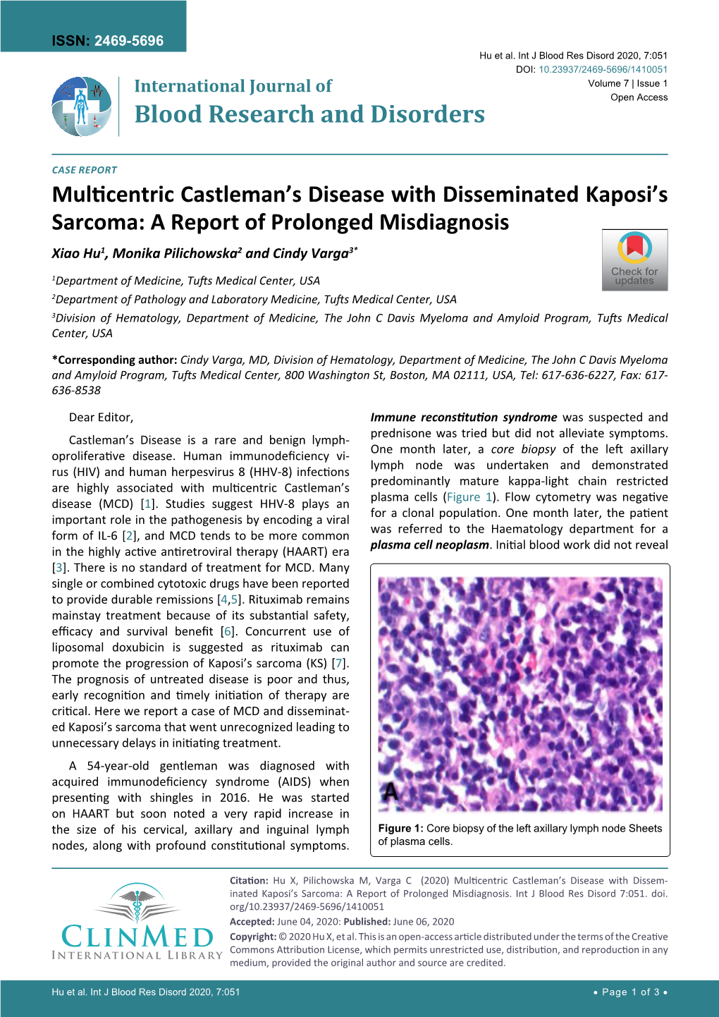 Multicentric Castleman's Disease with Disseminated Kaposi's Sarcoma