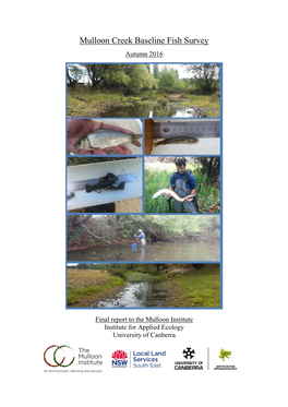 Mulloon Creek Baseline Fish Survey Autumn 2016