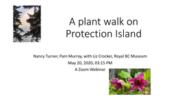 A Plant Walk on Protection Island